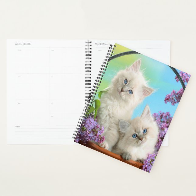 Agenda Gatitos y licores (Demostración)