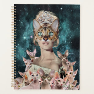 Agenda Gato