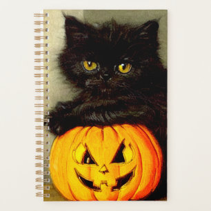 Agenda Gato de Halloween vintage y linterna de Jack-o