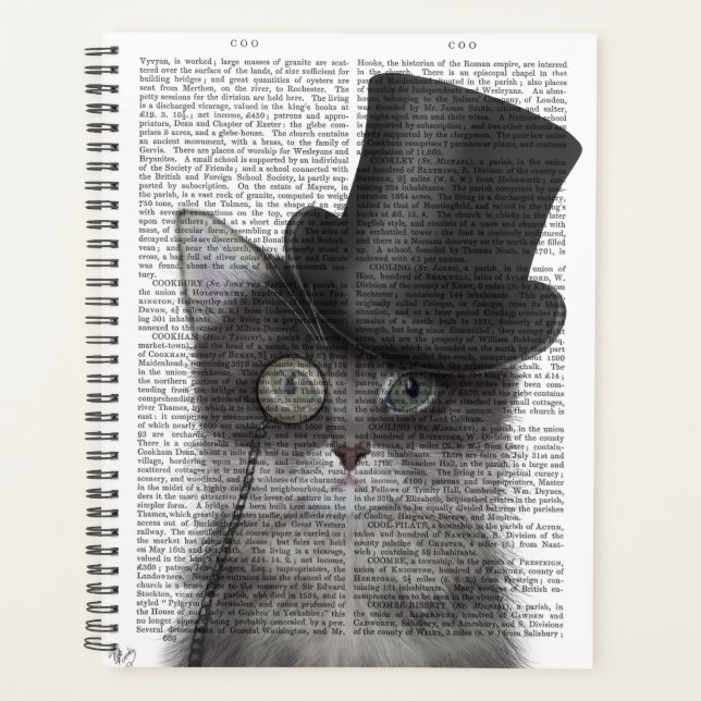 Agenda Gato gris con sombrero superior (Anverso)