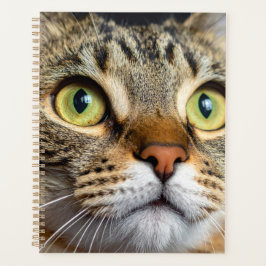 Agenda Gato lindo
