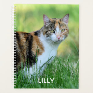 Agenda Gato marrón y blanco