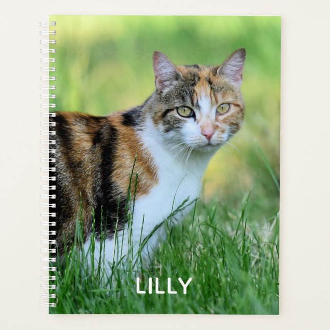 Agenda Gato marrón y blanco (Anverso)