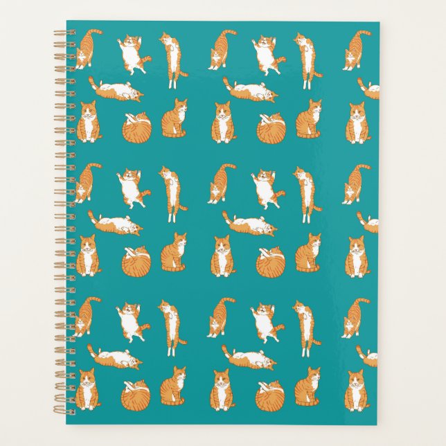 Agenda Gato Naranja Adorable Posando (Anverso)