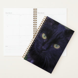 Agenda Gato Negro Gatito Lindo Divertido Ojos Amarillos