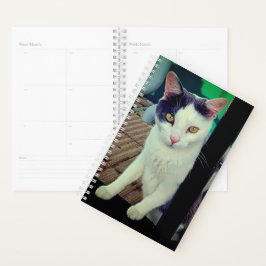 Agenda Gato negro y blanco