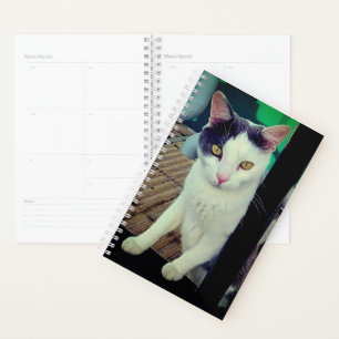 Agenda Gato negro y blanco