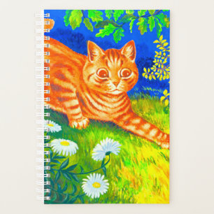 Agenda Gato nocturno