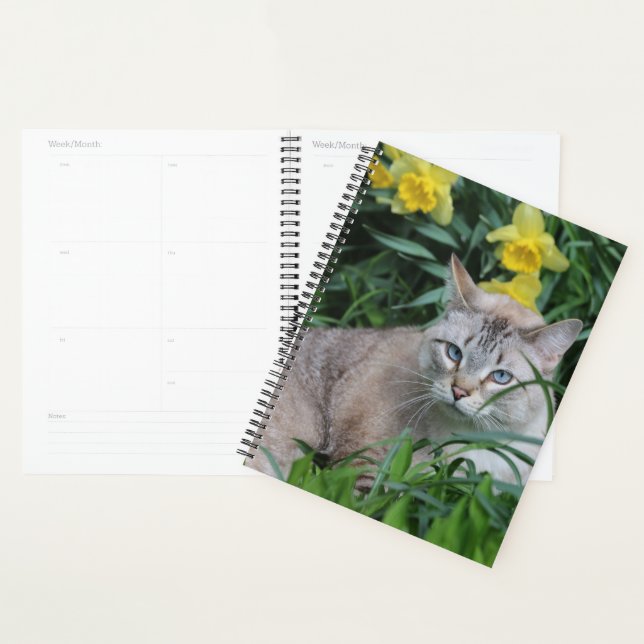 Agenda Gato siamés Lynx Point (Demostración)