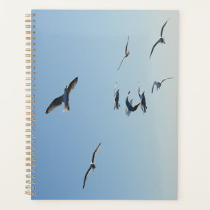 Agenda Gaviotas del Océano en Vuelo Fauna Costera