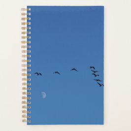 Agenda Géanos canadienses en vuelo