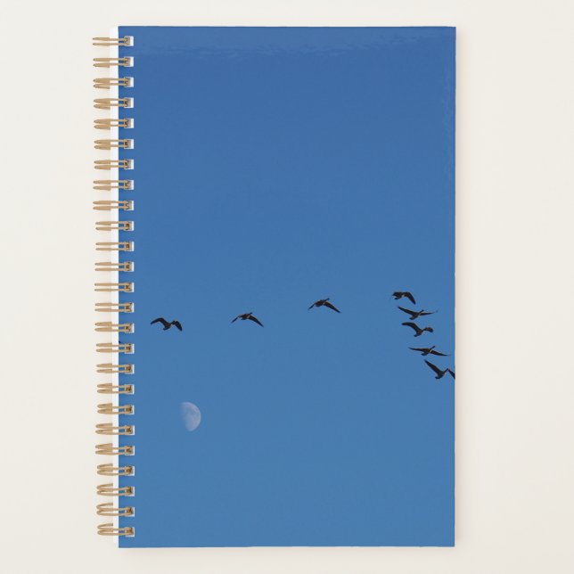 Agenda Géanos canadienses en vuelo (Anverso)