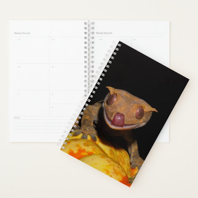 Agenda Gecko de Halloween Crested (Demostración)