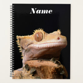 Agenda Gecko Lizard detenido en negro