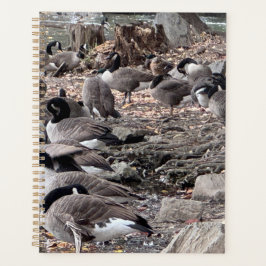 Agenda Geese in the Park Planner