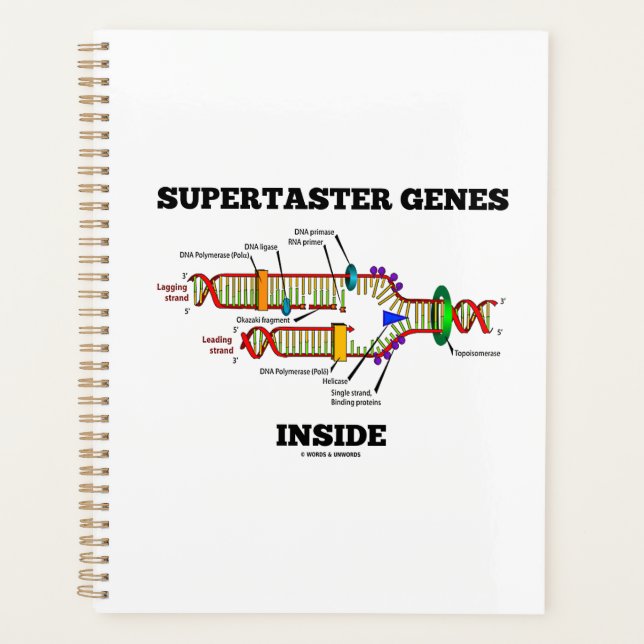 Agenda Genes de supertaster dentro del humor de replicaci (Anverso)