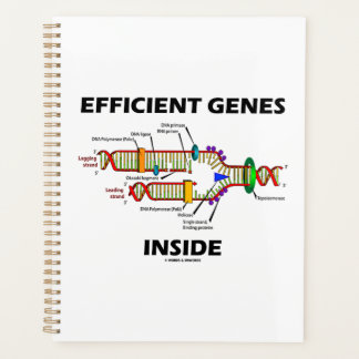 Agenda Genes eficientes dentro del humor de replicación d