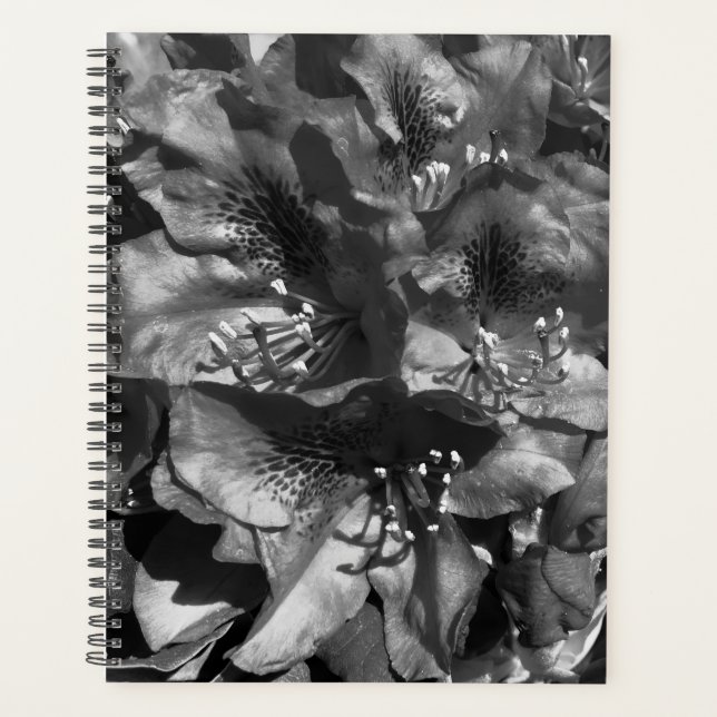 Agenda Gentle Lie (Anverso)