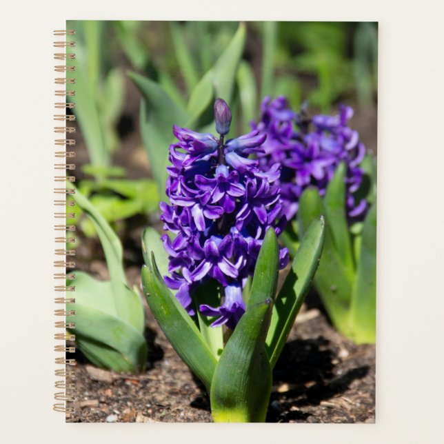 Agenda Geocinta Azul en primavera (Anverso)