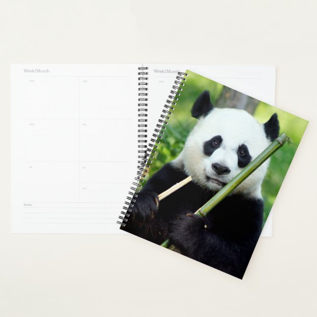 Agenda Giant Panda Holding Bamboo (Demostración)