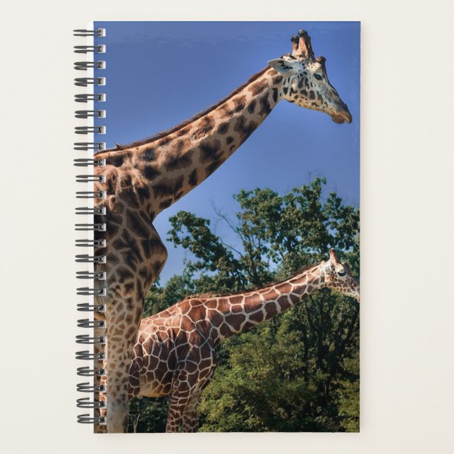 Agenda Girafas (Anverso)