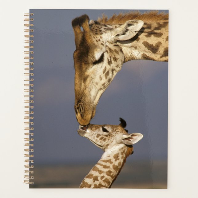 Agenda Giraffe Kissing Baby Giraffe (Anverso)