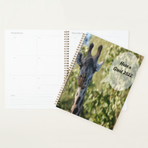 Agenda Giraffe Shower