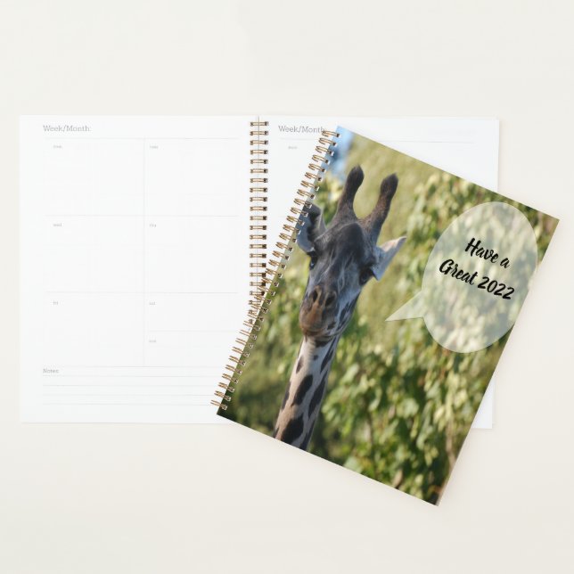 Agenda Giraffe Shower (Demostración)