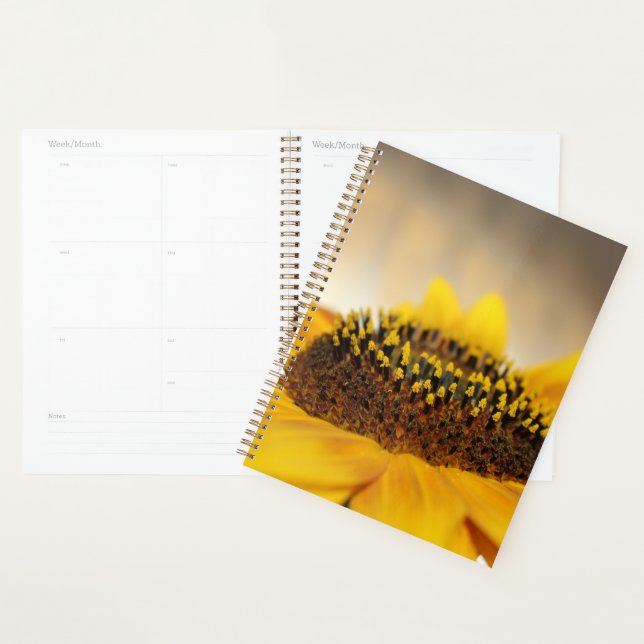 Agenda Girasol (Demostración)