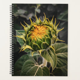 Agenda Girasol en Bloom Planner