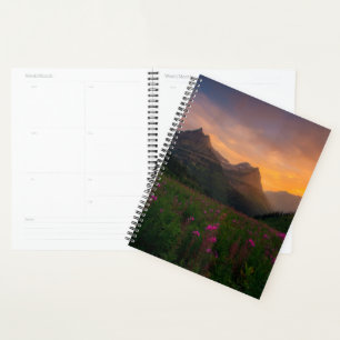 Agenda Glaciar Wildflowers