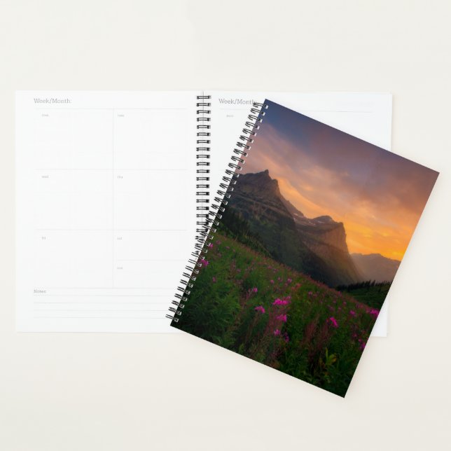 Agenda Glaciar Wildflowers (Demostración)