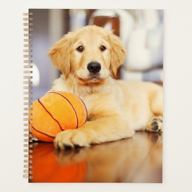 Agenda Golden Retriever Con Juguete De Baloncesto (Anverso)