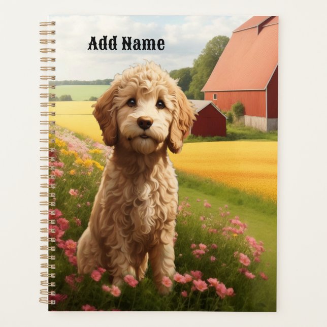 Agenda Goldendoodle (Anverso)