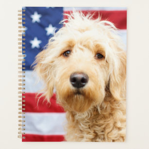 Agenda Goldendoodle con bandera estadounidense