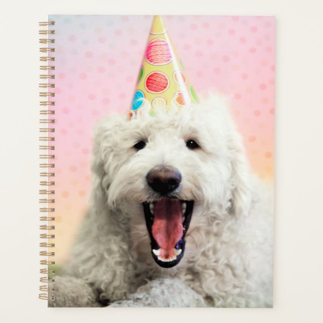 Agenda Goldendoodle Con Gorra Fiesta (Anverso)