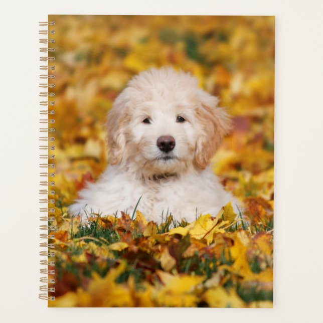 Agenda Goldendoodle Puppy En Hojas Caídas (Anverso)