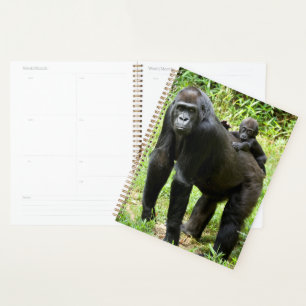 Agenda Gorila de la Lowland en la espalda de la madre