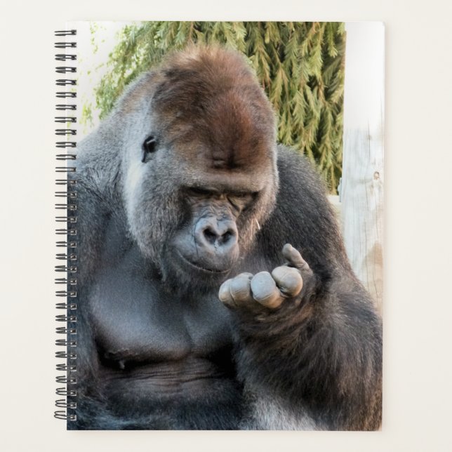 AGENDA GORILLA (Anverso)