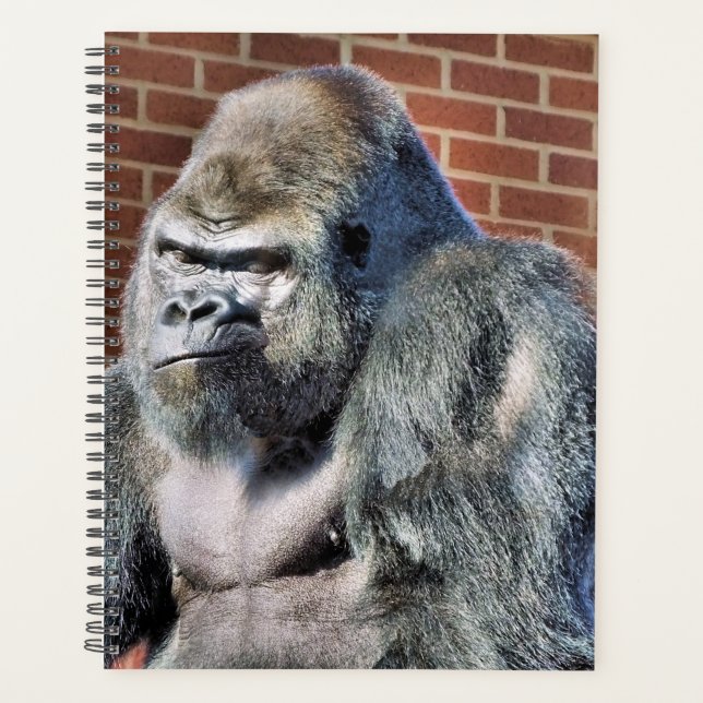 AGENDA GORILLA (Anverso)