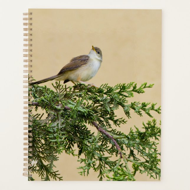 Agenda Gorrión  (Anverso)