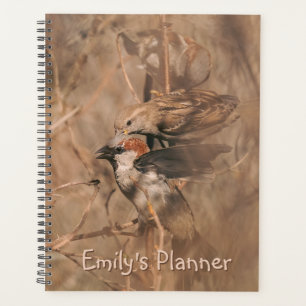 Agenda Gorrión común aves fotografía de vida silvestre co