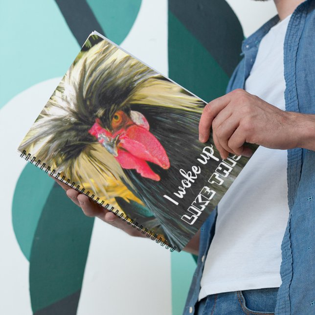 Agenda Gracioso meme de foto de pollo de pelo malo (In Situ)