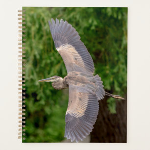 Agenda Gran Garza Azul 2024