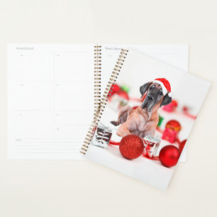 Agenda Grandes Navidades de perros cubanos