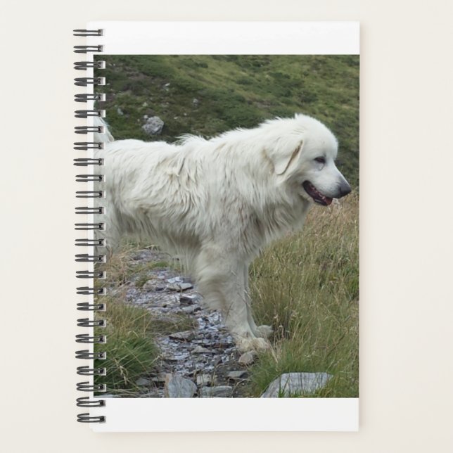 Agenda grandes pirenas llenas (Anverso)