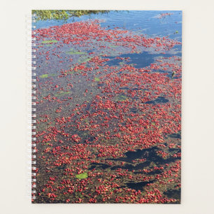 Agenda Granja de Cranberry, Long Beach, Washington