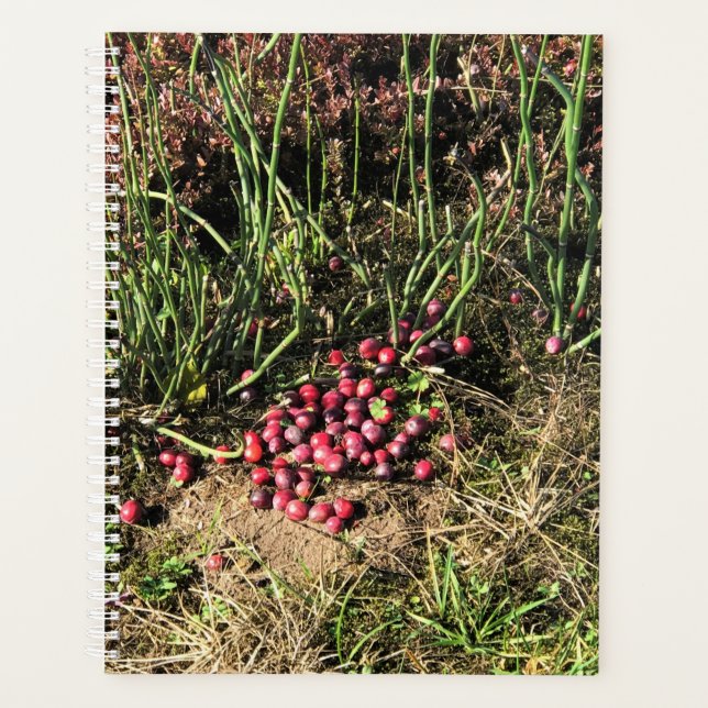 Agenda Granja de Cranberry, Long Beach, Washington (Anverso)