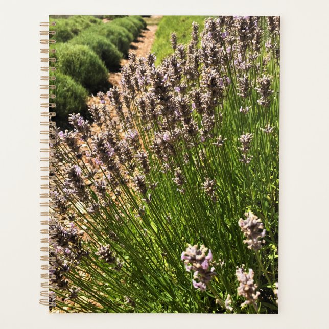 Agenda Granja de lavanda (Anverso)