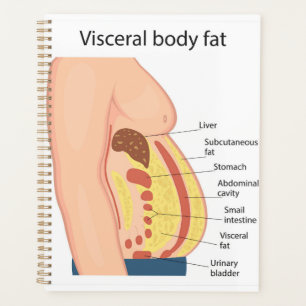 Agenda Grasa corporal visceral